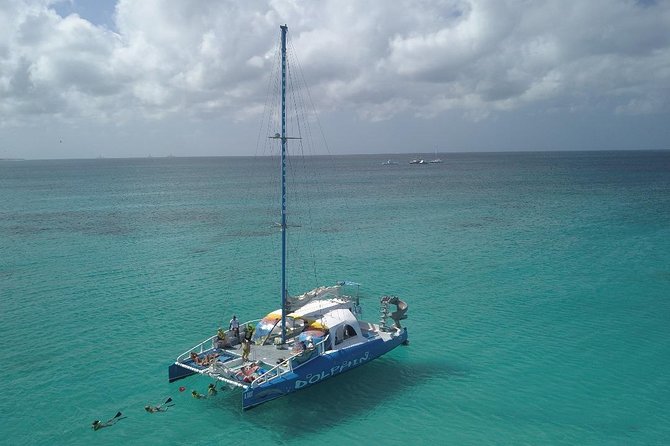 Dolphin Catamaran Snorkel and Sail with Open Bar - Rope swing and spinning slide