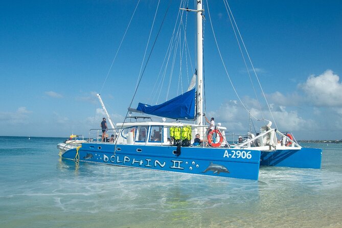 Dolphin Catamaran Snorkel and Sail with Open Bar - Food, music, and the open-bar mood