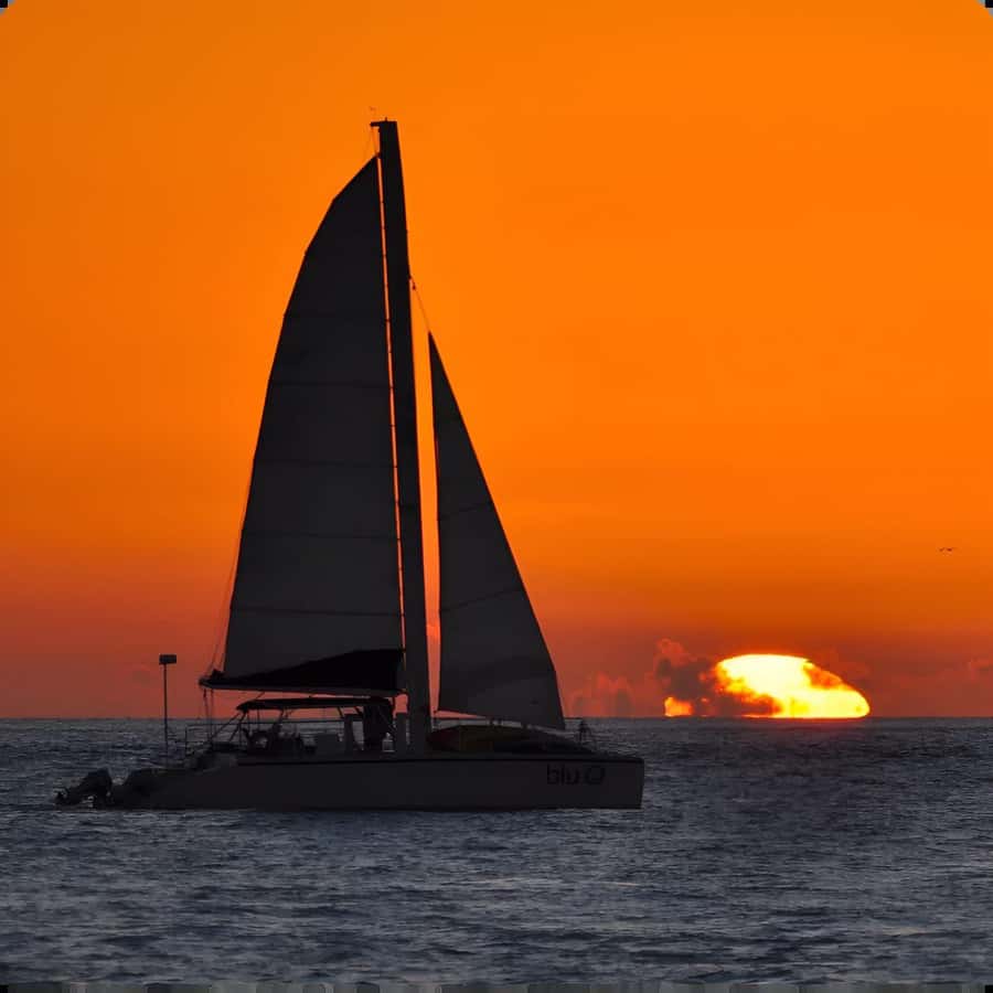 Dolphin Watch + Sunset Sail - Starting from 120 Margaret Street