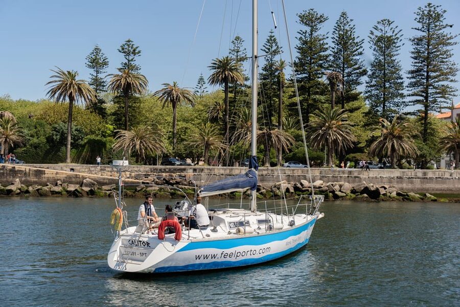 Douro River Cruise with Cheese & Tonic Porto in a Sailboat - Under the Arrábida Bridge