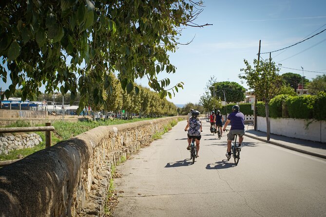 Ebike Tour, Winery, Wine Tasting & Sailing Experience(car option) - Sailing back with cava, snacks, and sea views