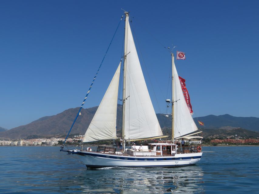 Estepona: Dolphin Watching Sailboat Cruise with Drink - The dolphin search: exciting but unpredictable