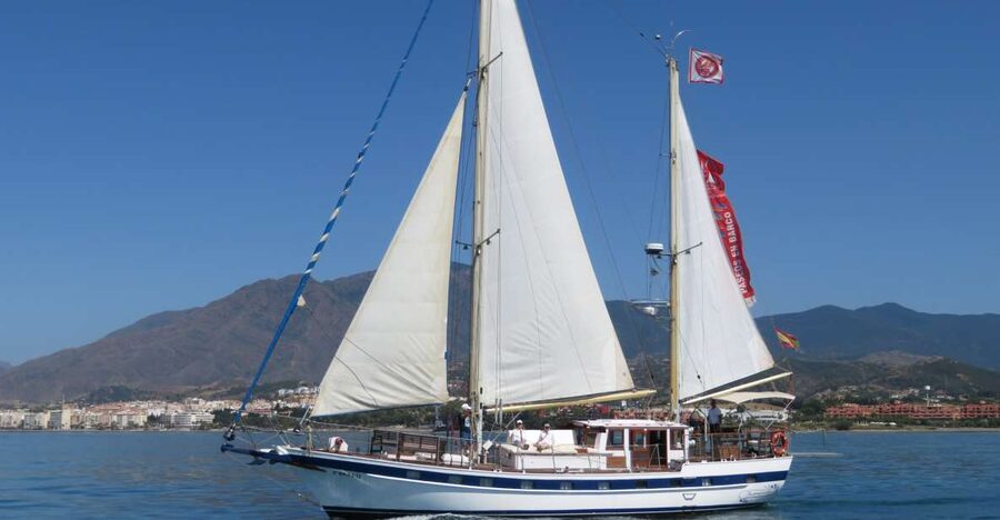 Estepona: Dolphin Watching Sailboat Cruise with Drink - Two hours across Estepona Bay