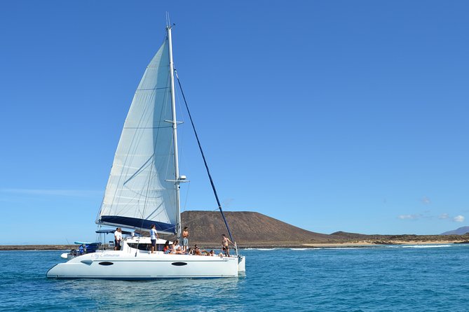 Exclusive Sailing Catamaran Experience to Lobos Island with lunch - Who Will Enjoy This Most?