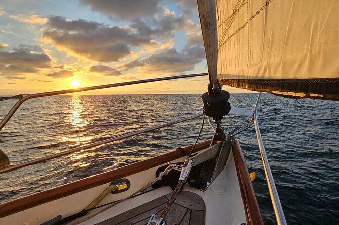 Experience Oceanside Sailing with Whales and dolphins! - Setting Sail From Oceanside Harbor