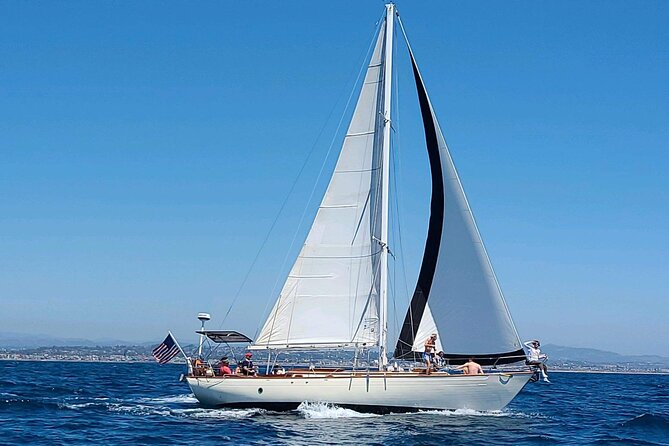 Experience Oceanside Sailing with Whales and dolphins! - Should You Book the Song of David?
