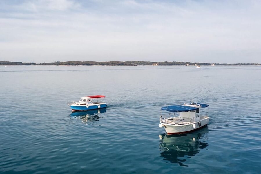 Fažana: Sail like a president with Brijuni Panorama - Key points to know before sailing