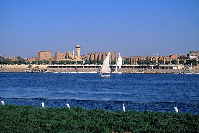 Felucca in Luxor Amazing Sunset sailing {Private} 2 Hours - How the private format affects value