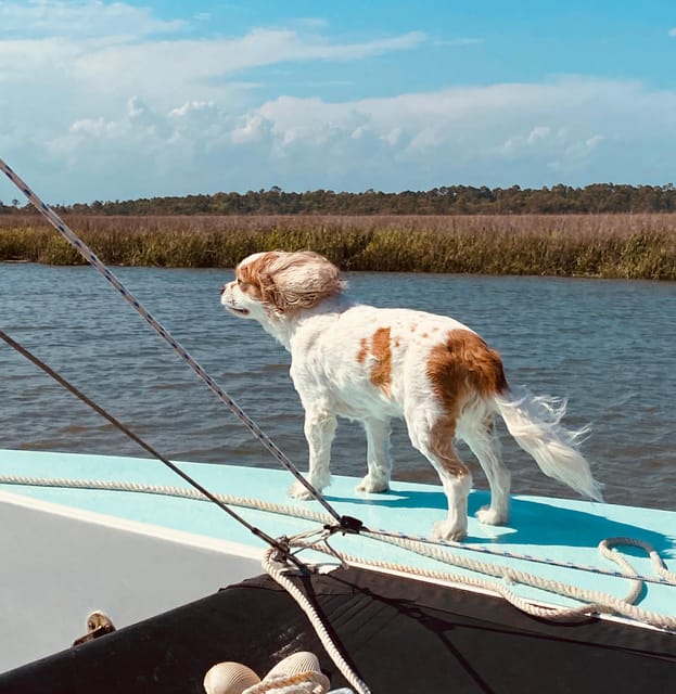 Folly Beach: Private Daytime or Sunset Sail, cooler provided - Who will enjoy this sail most