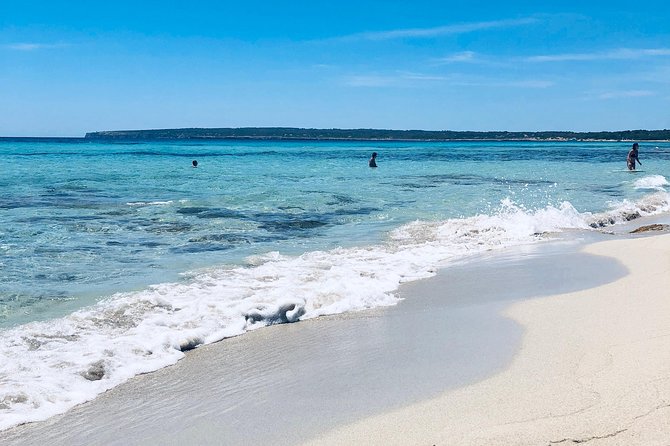 Formentera Small-Group Day Trip by Sailboat from Ibiza - Who Gets the Best Value at $162.55?