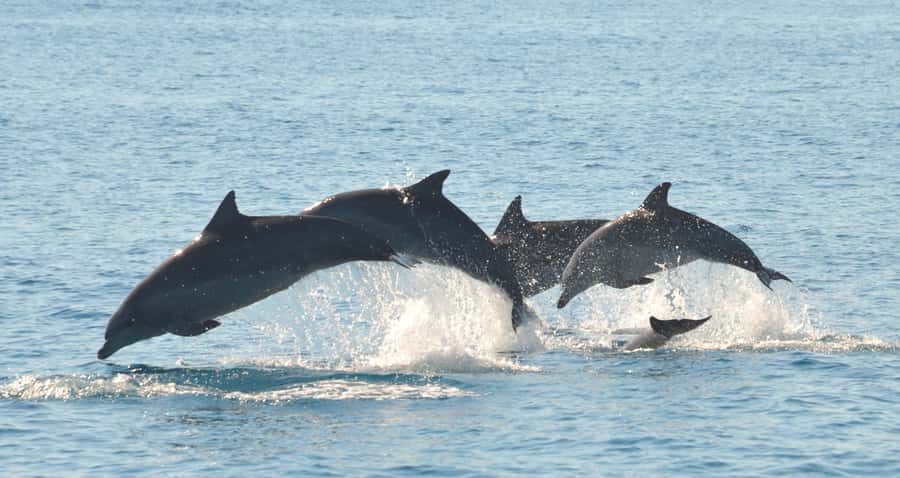 Fraser Island 4-Hour Eco-Sailing Adventure - Setting out across the Great Sandy Strait