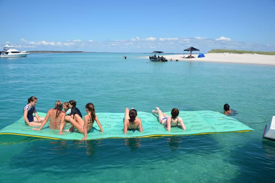 Fraser Island 4-Hour Eco-Sailing Adventure - Searching for dolphins, dugongs, and turtles