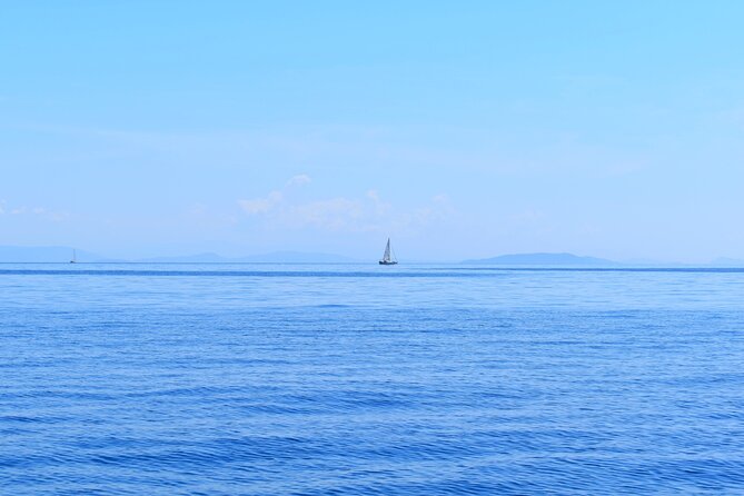 From Agia Efimia: All Inclusive Sailing Day Tour to Ithaca - Why this sailing day feels different