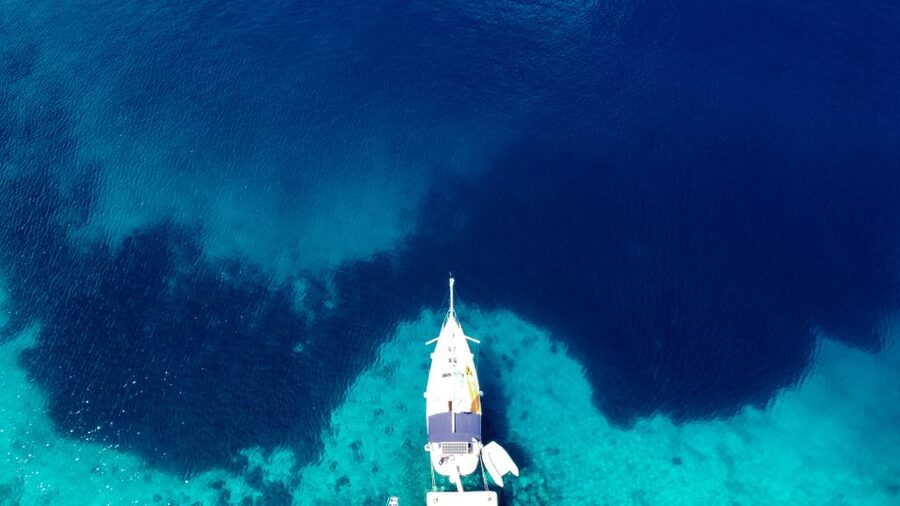 From Agia Efimia: All Inclusive Sailing Day Trip to Ithaca - Is $176 per person good value?