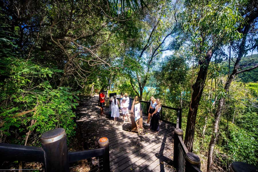 From Airlie Beach: Hook Island Cultural Tour, Sail & Snorkel - Snorkeling at Hook Island