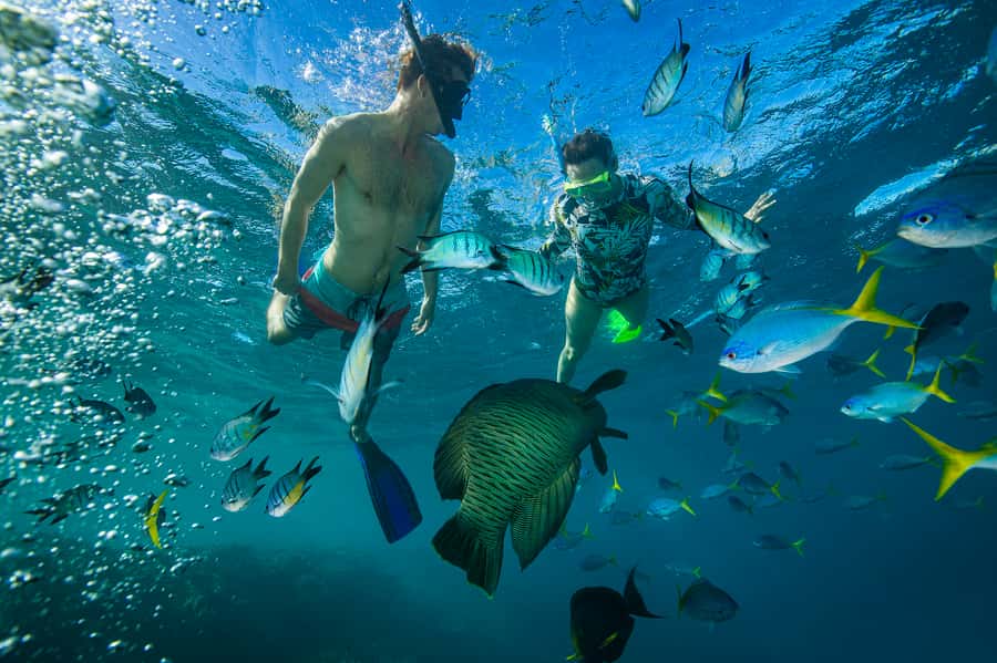 From Airlie Beach: Hook Island Cultural Tour, Sail & Snorkel - The return sail, sparkling wine, and afternoon platter