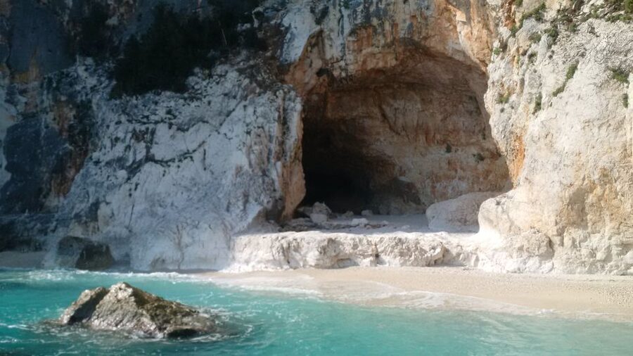 From Arbatax: Gulf of Orosei Sail Boat Trip with Lunch - Who should book this sailing trip?