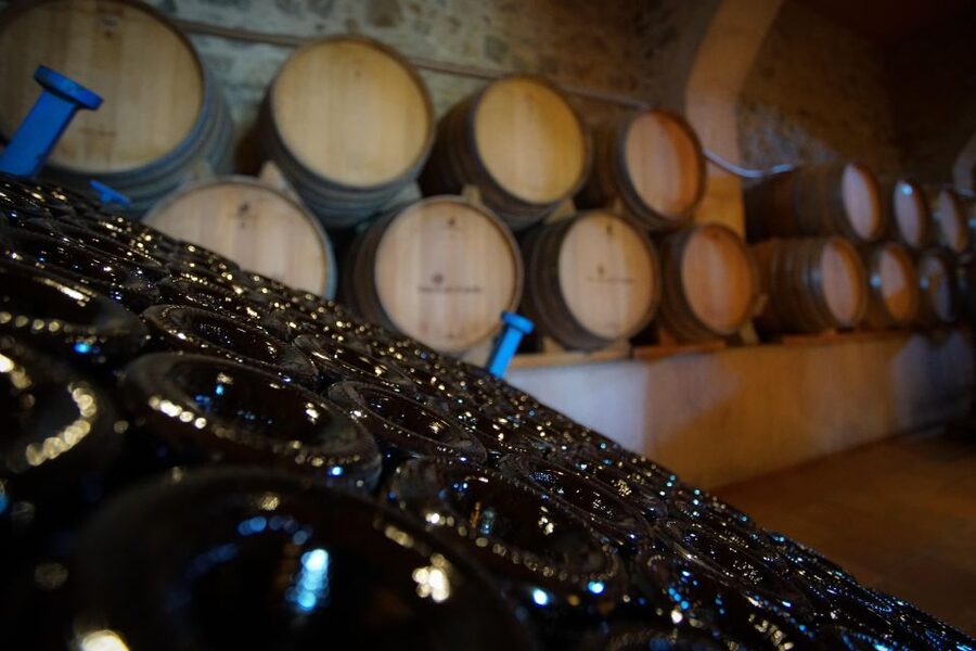 From Barcelona: E-Bike and Sailing Tour with Wine Tastings - Choosing between the e-bike, boat, and car options