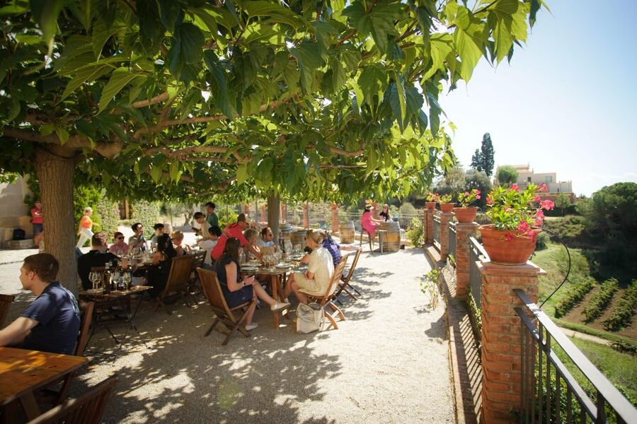 From Barcelona: Sailing and Wine Tasting Experience - Who will enjoy this five-hour experience most