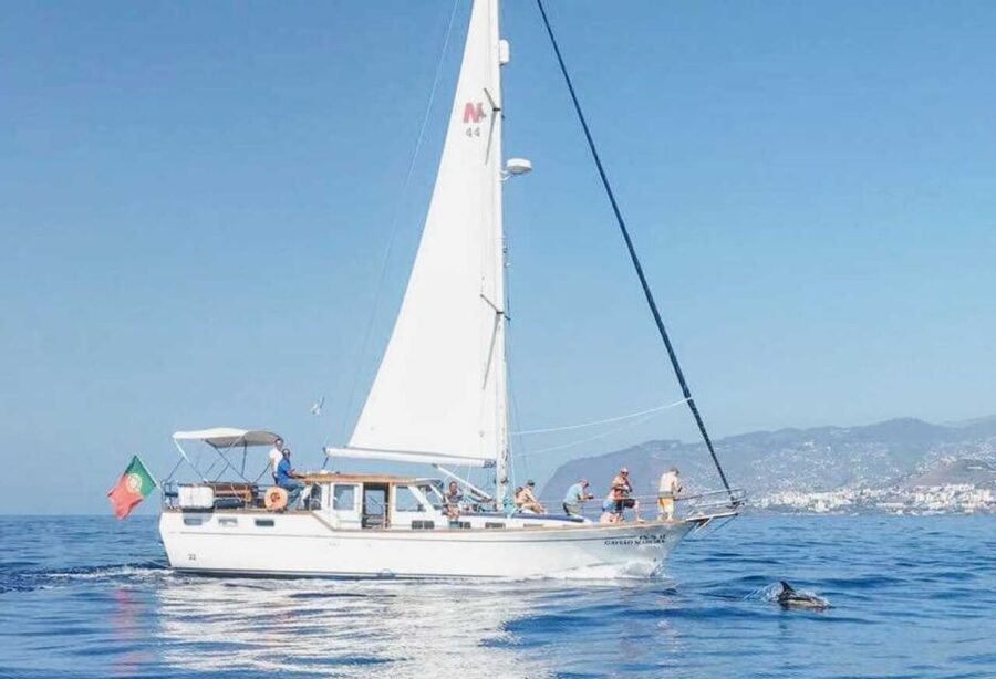 From Funchal: West Bays Sailing Tour with Lunch - Swimming and snorkeling in clear Atlantic water