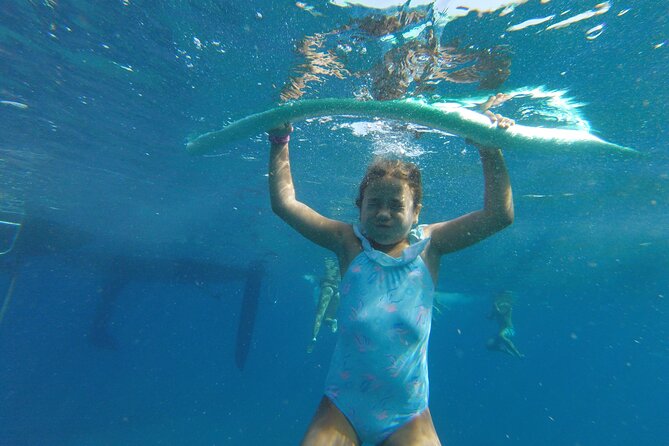 From Heraklion : Small Group 5,5 hours Sailing Trip to Dia Island - What the $84.29 price includes