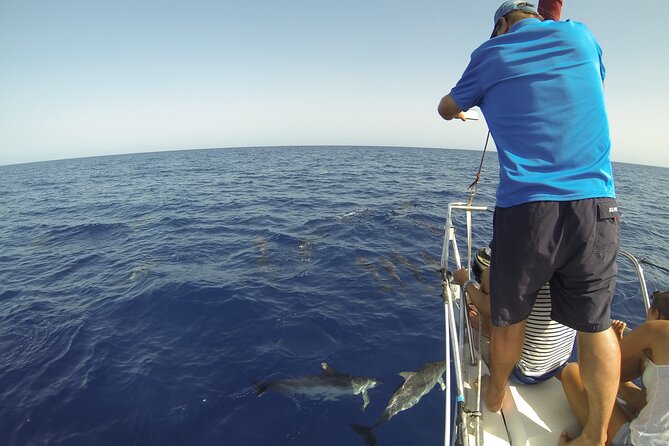 From Heraklion : Small Group 5,5 hours Sailing Trip to Dia Island - Why the small group matters