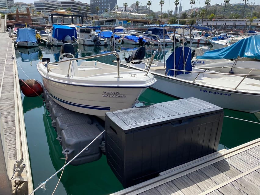 From las Palmas : Day sailing experience along the coast - Seeing the capital from the sea