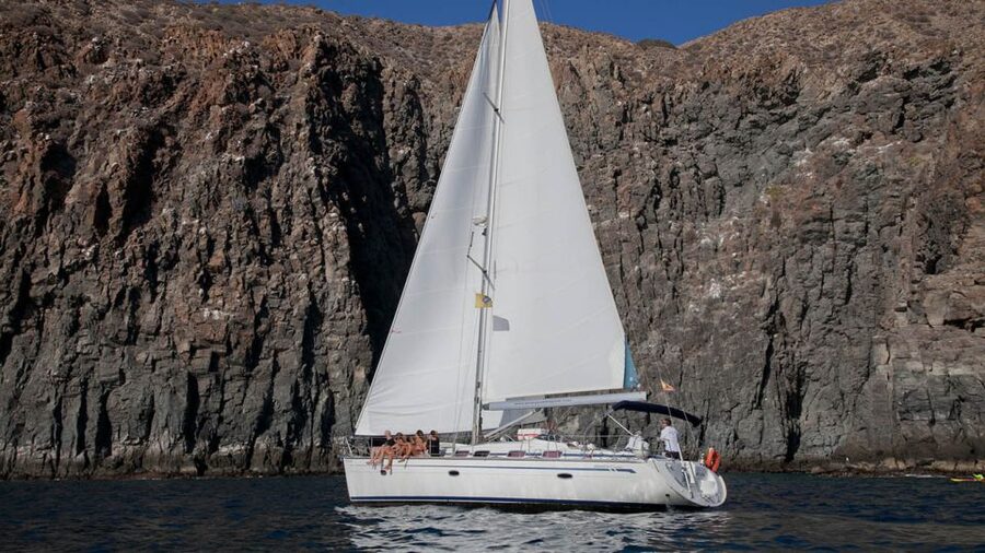 From Los Gigantes: Whale Watching Sailboat Cruise - Should you book the Los Gigantes whale cruise?