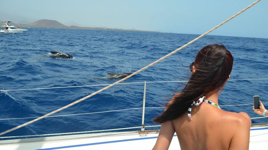 From Los Gigantes: Whale Watching Sailboat Cruise - Is $88 a fair price?