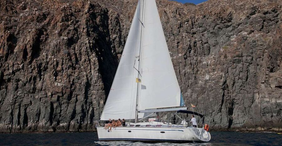 From Los Gigantes: Whale Watching Sailboat Cruise - Watching whales without turning the ocean into a circus