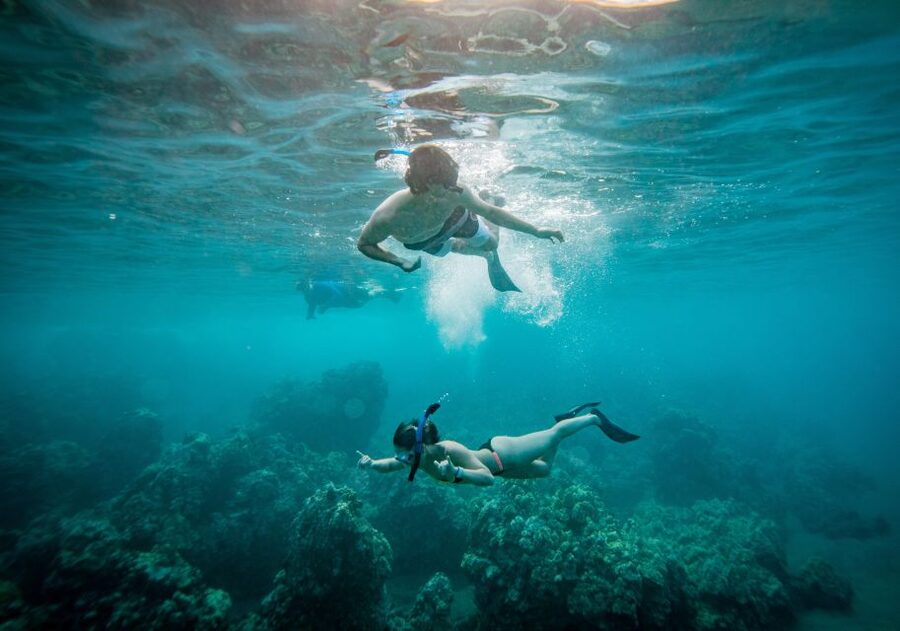 From Maalaea: Turtle Town 3-Hour Snorkel and Sail Adventure - A sailing ride before the snorkeling begins