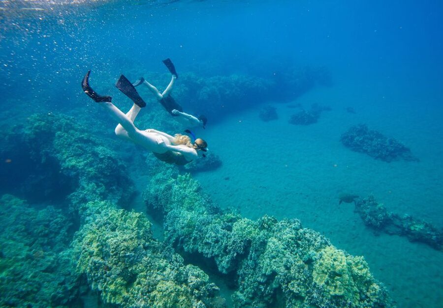 From Maalaea: Turtle Town 3-Hour Snorkel and Sail Adventure - The beginner snorkeling class matters