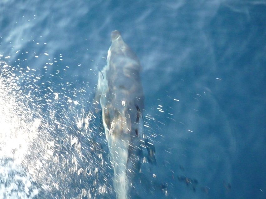 From Paros: Private Sailing Cruise with Lunch and Snorkeling - What the Sailing Time Really Means