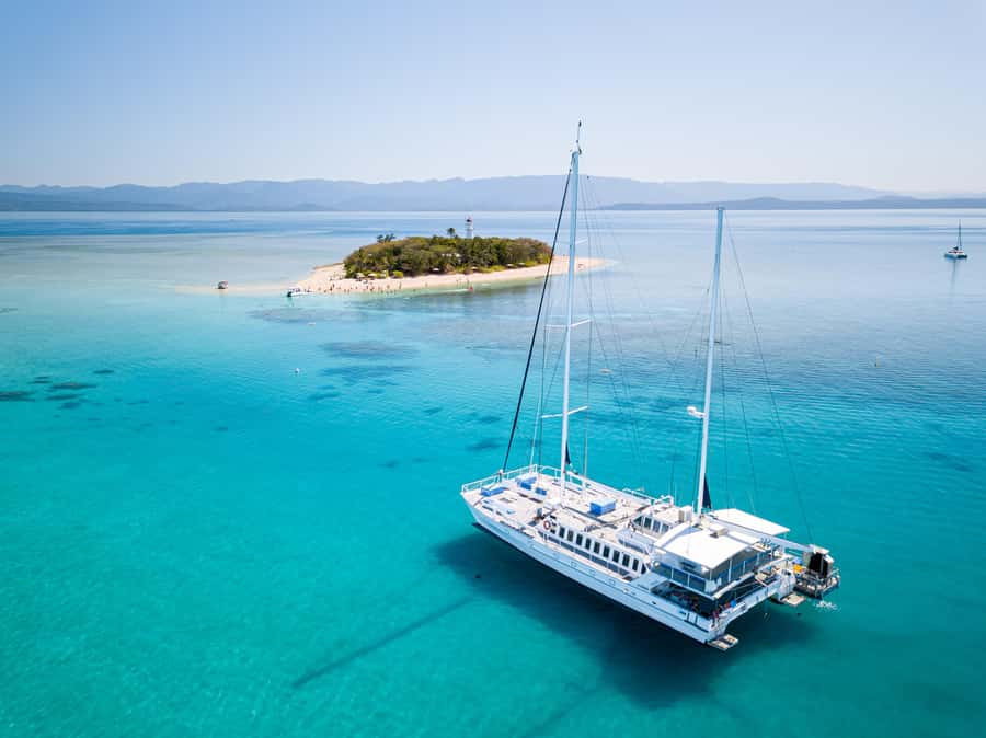 From Port Douglas: Sail to Low Isles Great Barrier Reef - Key points before you book
