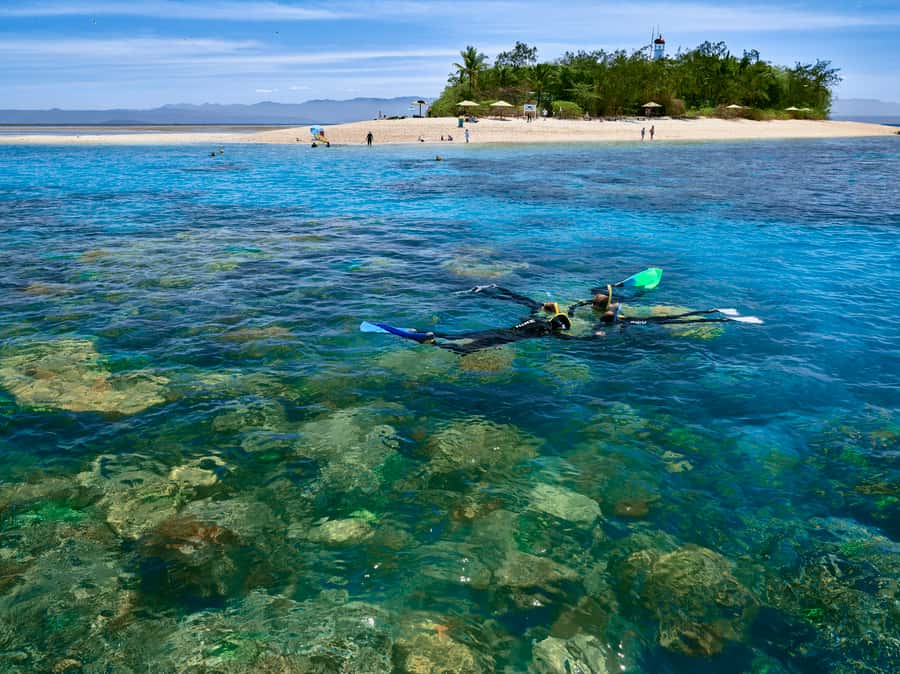 From Port Douglas: Sail to Low Isles Great Barrier Reef - Sailing from Port Douglas on Wavedancer