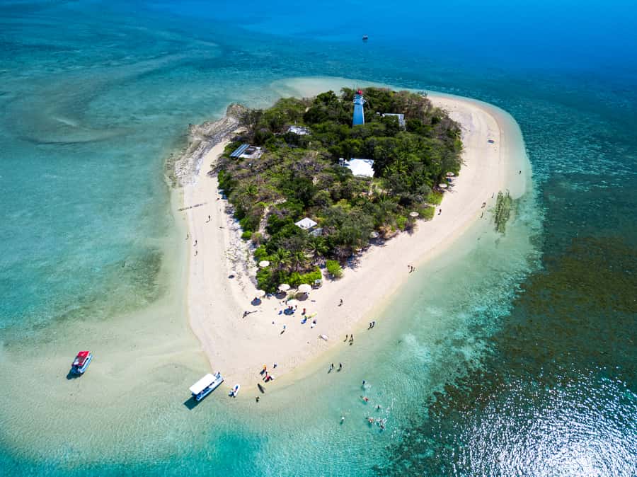 From Port Douglas: Sail to Low Isles Great Barrier Reef - Snorkeling with turtles, fish, and reef sharks
