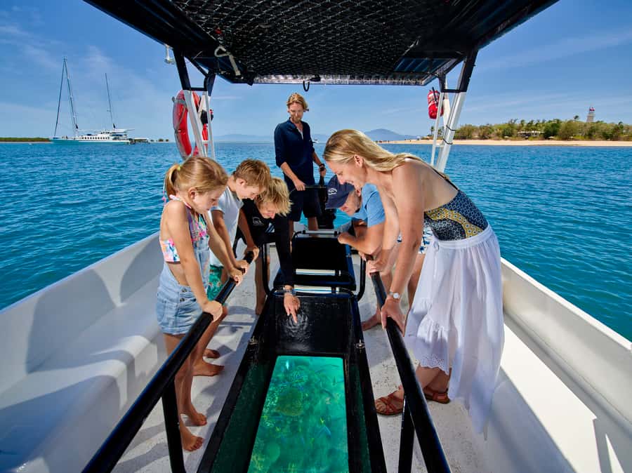 From Port Douglas: Sail to Low Isles Great Barrier Reef - Glass-bottom viewing for a gentler reef experience