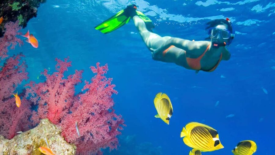 From Punta Cana: Catalina Island Swim, Sail & Snorkel - Key Points Before You Book
