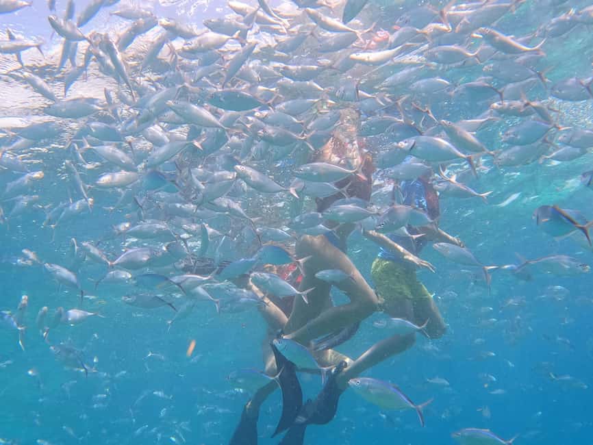 From Punta Cana: Catalina Island Swim, Sail & Snorkel - What the Schedule Really Feels Like