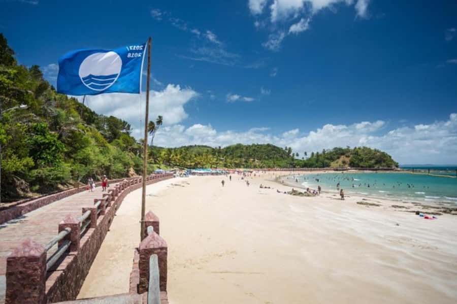 From Salvador: Schooner Tour to Frades Island - Key points to know before you book