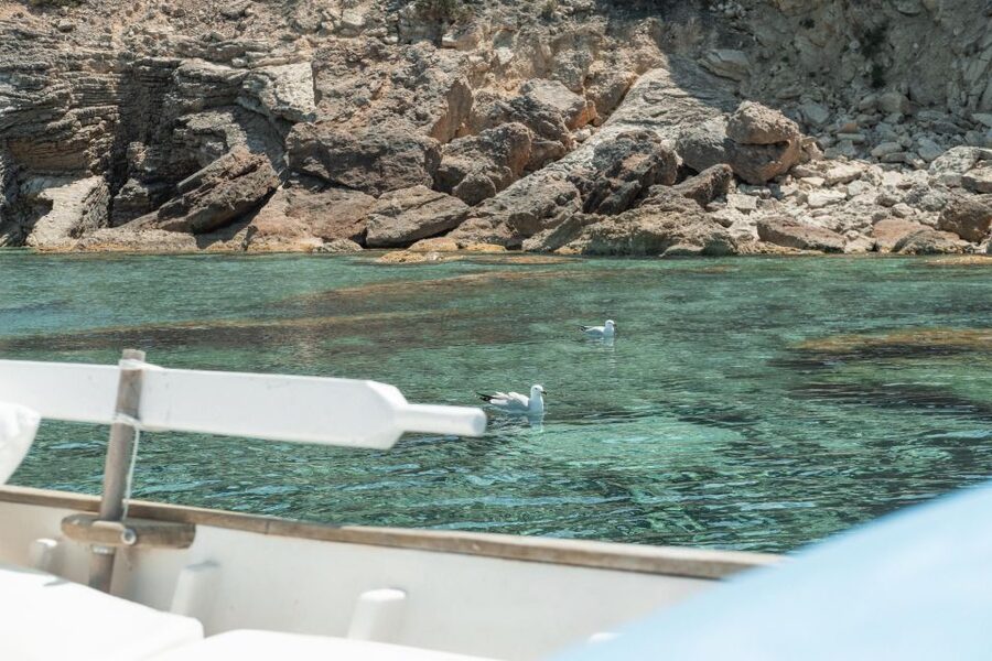 From Sant Josep: Es Vedra & Atlantis Sailboat Cruise - The boat, comfort, and captain service