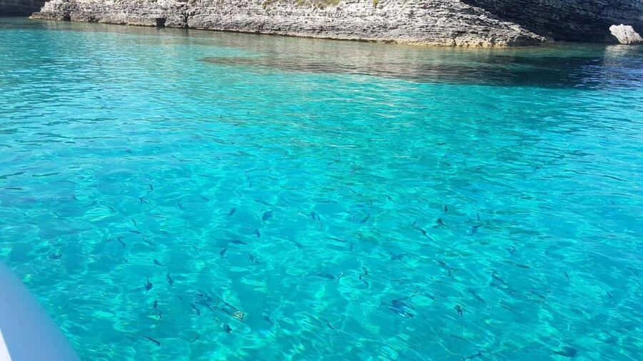 From Santa Teresa: Sailboat Tour to Corsica with Lunch - Booking, cancellation, and timing