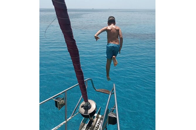 From Skopelos: Full-Day Sailing to Alonissos & Marine Park - Who should book this sailing day?