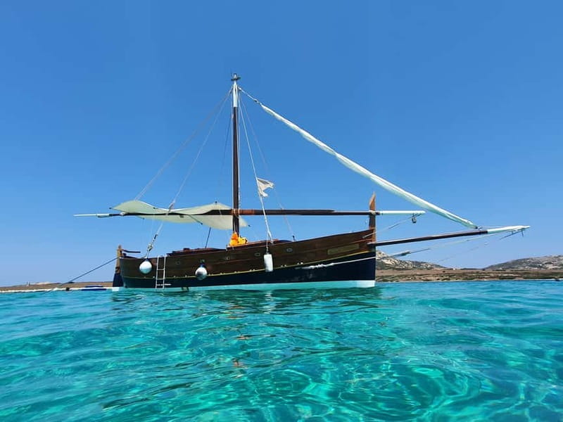 From Stintino: sailing trip to Asinara with Lunch - Should you book the Stintino to Asinara trip?