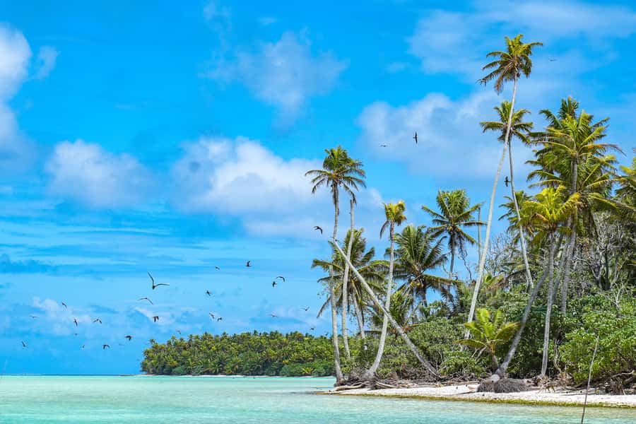 From Tahiti: Tetiaroa Island Tour by Sailing Catamaran - Why Tetiaroa feels different from a typical Tahiti day trip