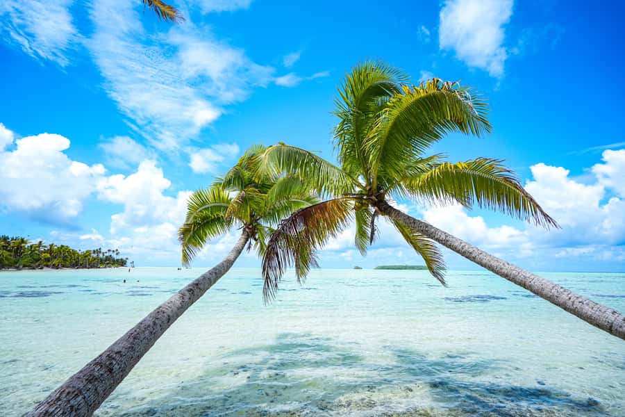 From Tahiti: Tetiaroa Island Tour by Sailing Catamaran - A long crossing with changing comfort levels