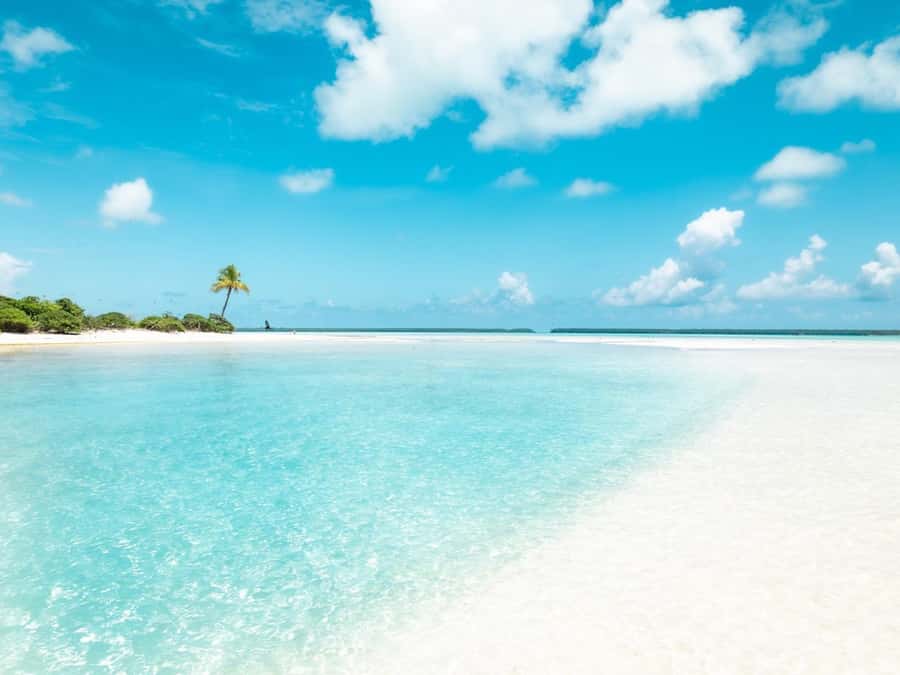 From Tahiti: Tetiaroa Island Tour by Sailing Catamaran - Reef snorkeling after lunch