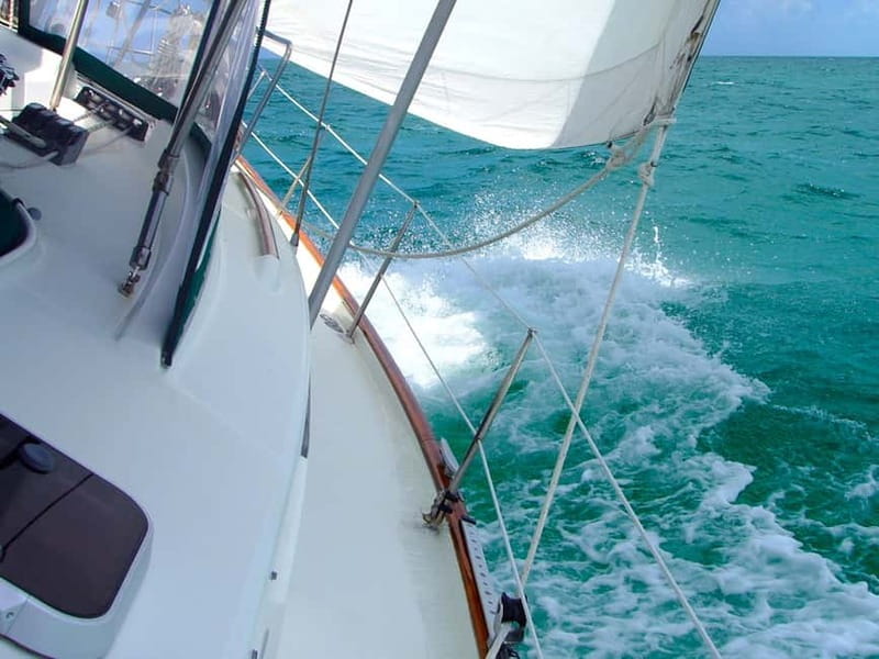 From Tučepi: Makarska Riviera Private Sailing Day Trip - What the island stop is really like