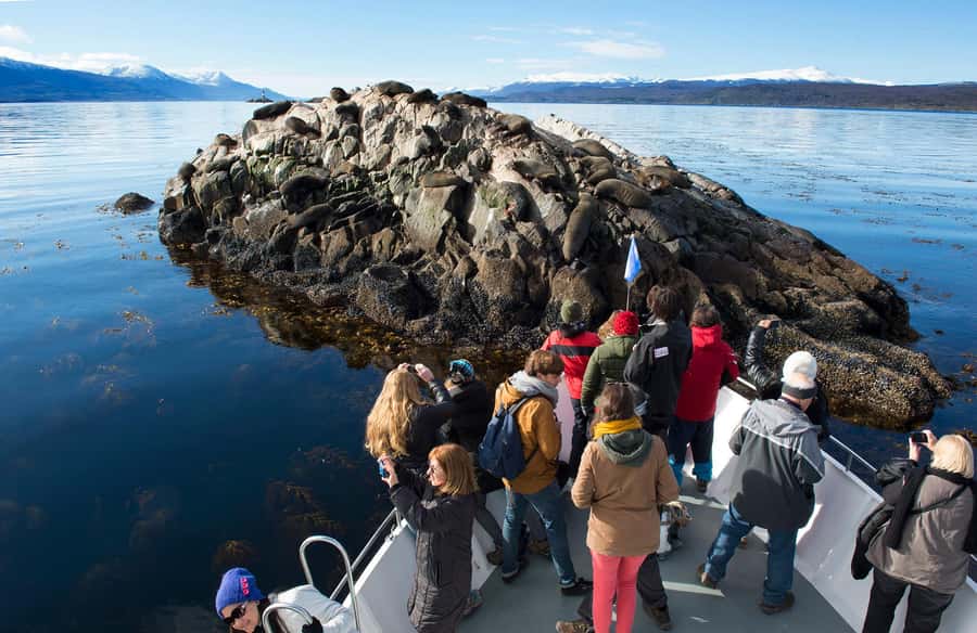 From Ushuaia: Beagle Channel Yacht Sailing Tour - Why the Beagle Channel is worth half a day
