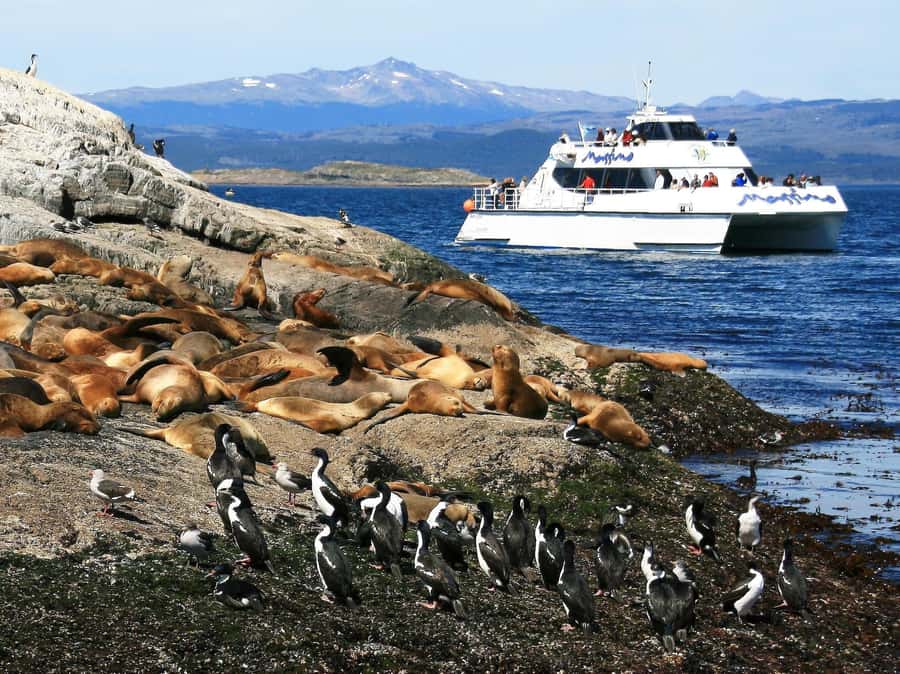 From Ushuaia: Beagle Channel Yacht Sailing Tour - From central Ushuaia to the tourist dock